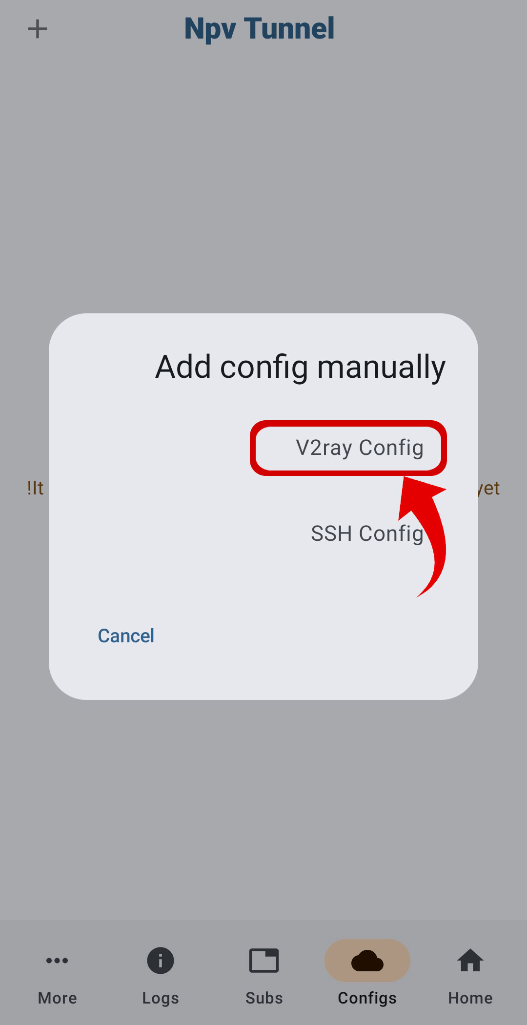 v2ray config